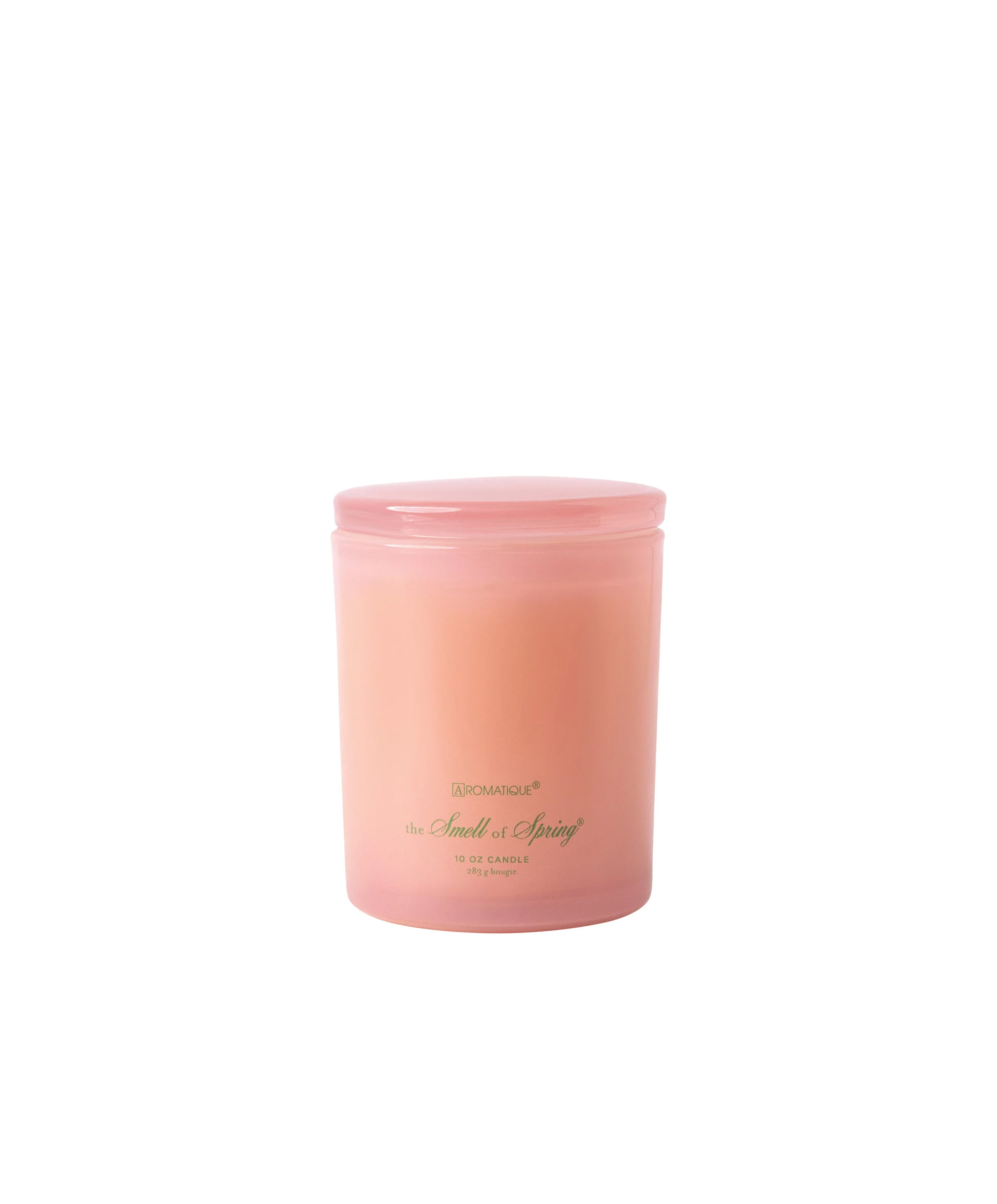 The Smell of Spring - Foundry Candle - Image 3